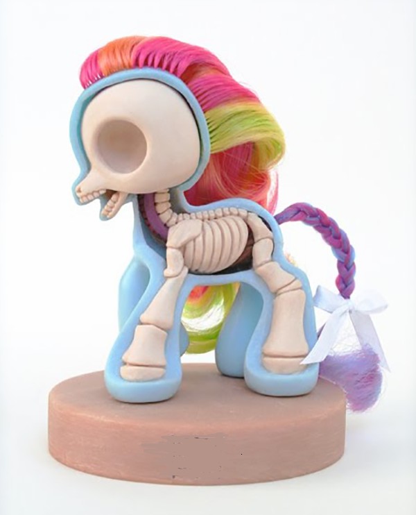 Little pony anatomical sculpture