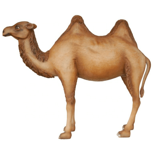 Fiberglass camel statue