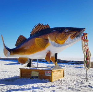 Fish fiberglass sculpture large size outdoor decor