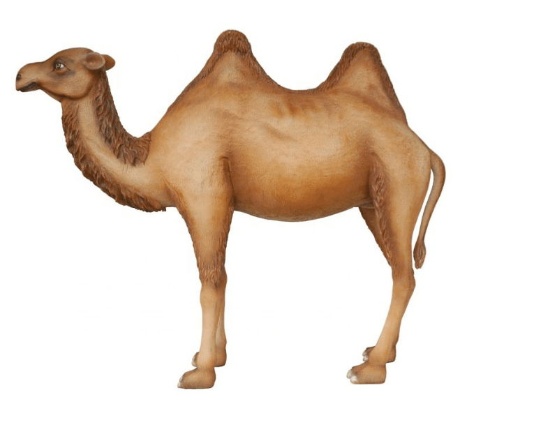 fiberglass life size animal statues camel