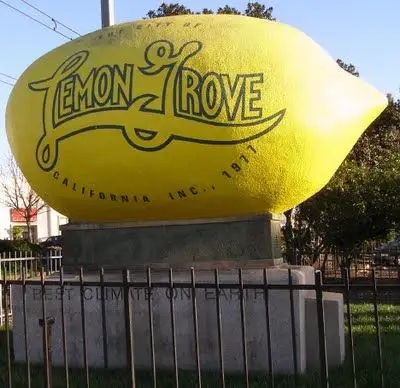 fiberglass lemon sculpture (3)